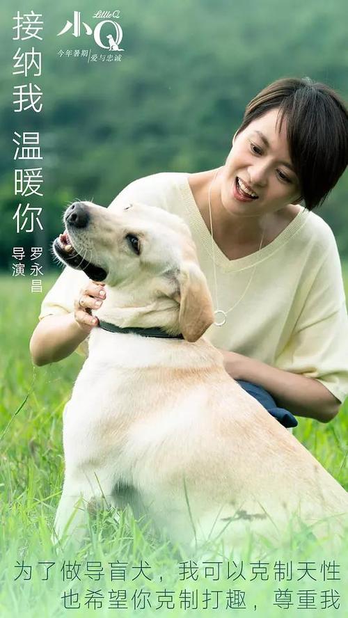圣母院书院Diploma in Finance